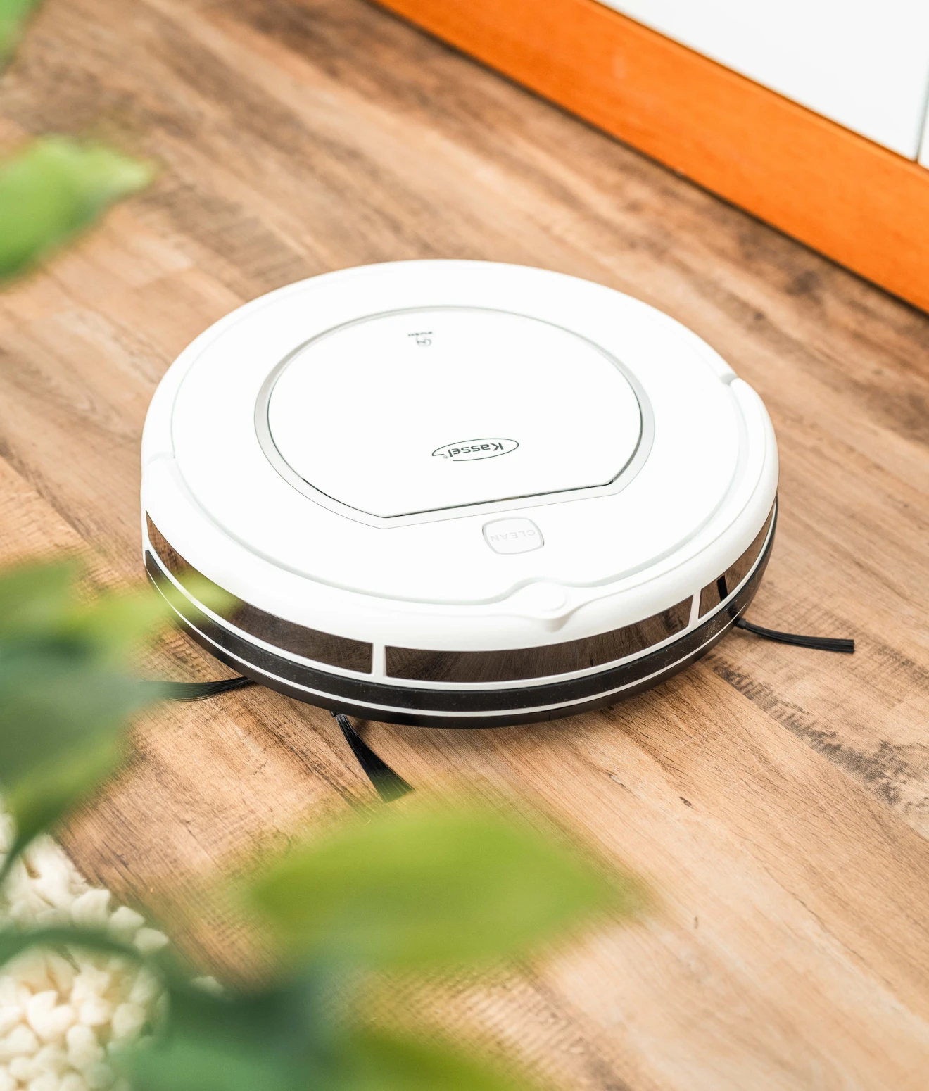 2.0_KASSEL_GALERIA_SILVESTRE-4