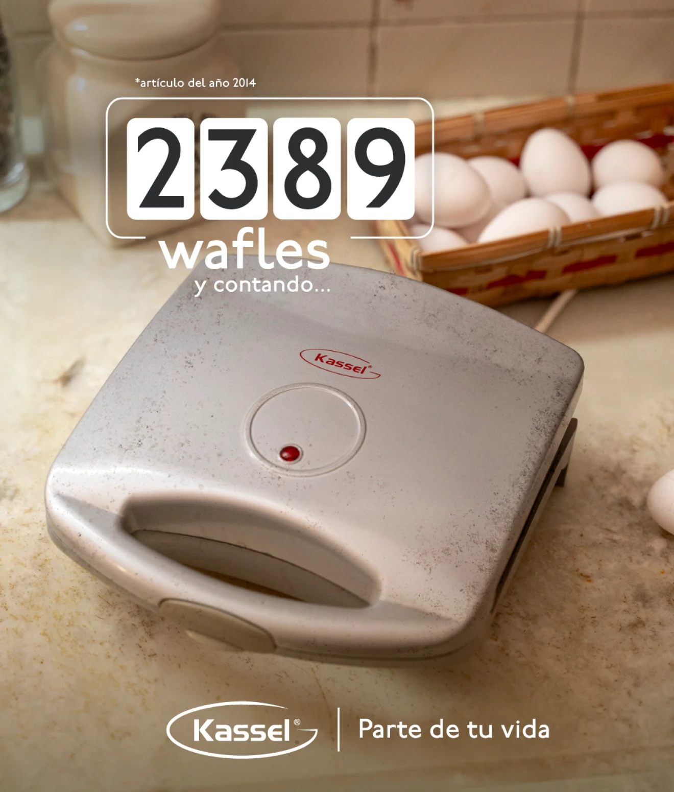 KASSEL_CAMPAÑA_SILVESTRE-2